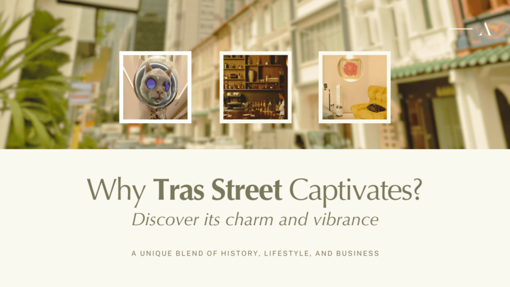 Discover the Charm: How Tras Street Stands Out?